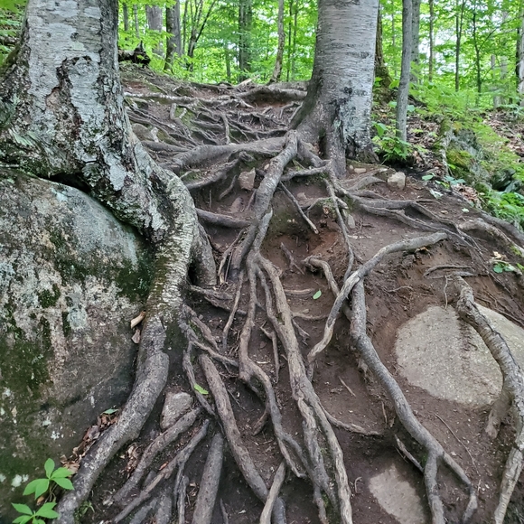 Meet your Posher, Marc - Picture 4 of 4